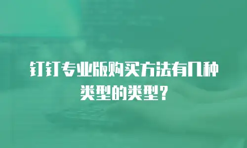 钉钉专业版购买方法有几种类型的类型？
