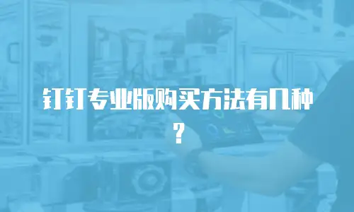 钉钉专业版购买方法有几种？