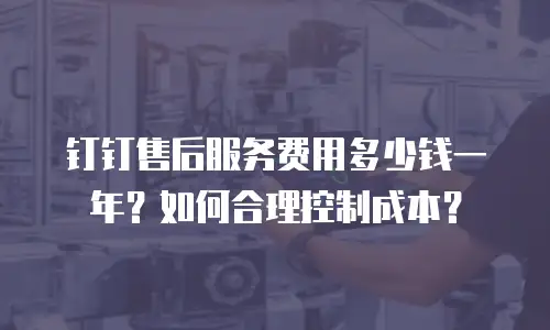 钉钉售后服务费用多少钱一年？如何合理控制成本？