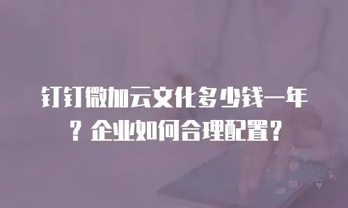 钉钉微加云文化多少钱一年？企业如何合理配置？