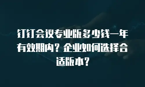 钉钉会议专业版多少钱一年有效期内？企业如何选择合适版本？