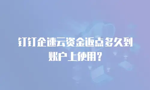 钉钉企速云资金返点多久到账户上使用？