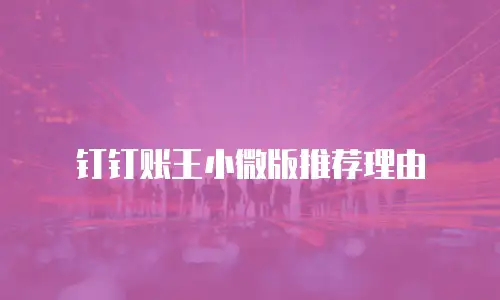 钉钉账王小微版推荐理由