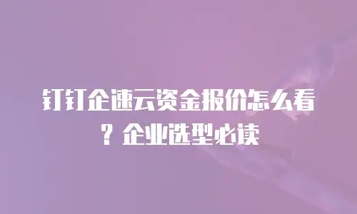 钉钉企速云资金报价怎么看？企业选型必读