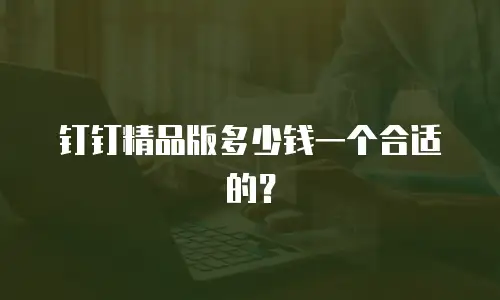 钉钉精品版多少钱一个合适的？