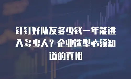 钉钉好队友多少钱一年能进入多少人？企业选型必须知道的真相