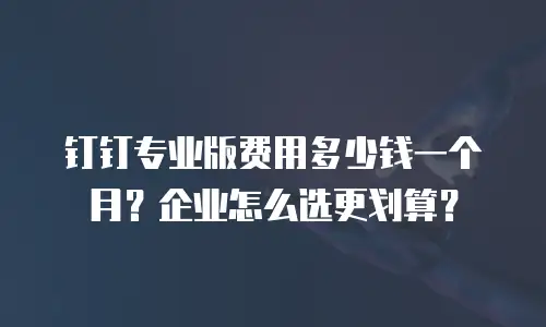 钉钉专业版费用多少钱一个月？企业怎么选更划算？