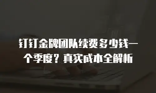 钉钉金牌团队续费多少钱一个季度？真实成本全解析