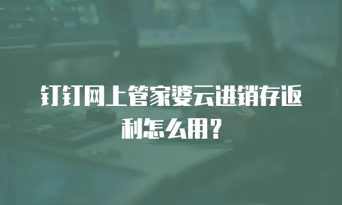 钉钉网上管家婆云进销存返利怎么用？