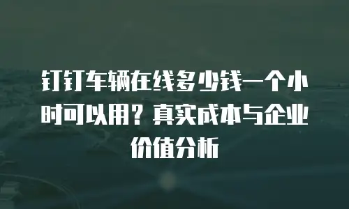 钉钉车辆在线多少钱一个小时可以用？真实成本与企业价值分析