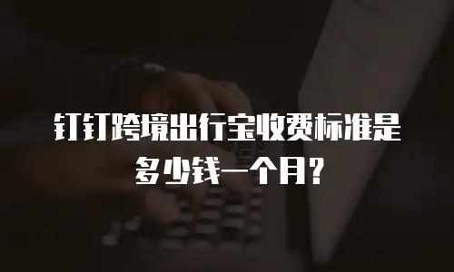 钉钉跨境出行宝收费标准是多少钱一个月？