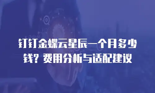 钉钉金蝶云星辰一个月多少钱？费用分析与适配建议