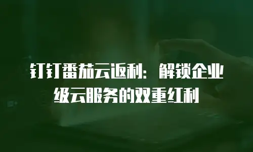 钉钉番茄云返利：解锁企业级云服务的双重红利