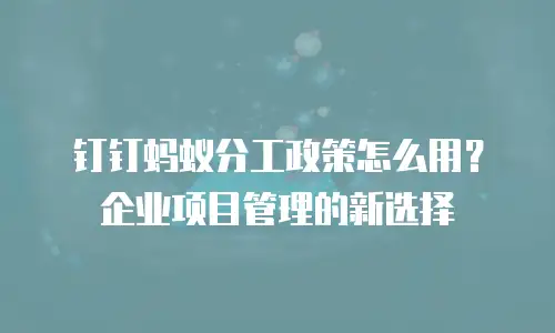 钉钉蚂蚁分工政策怎么用？企业项目管理的新选择