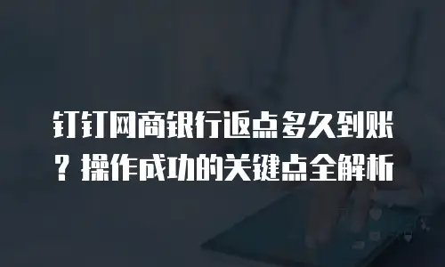钉钉网商银行返点多久到账？操作成功的关键点全解析