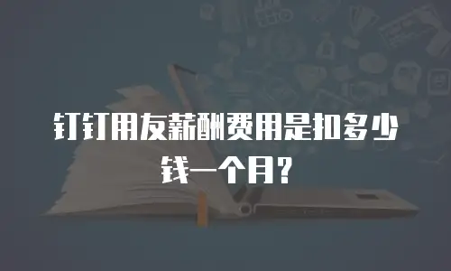 钉钉用友薪酬费用是扣多少钱一个月？