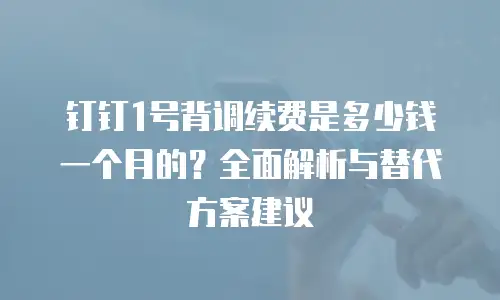 钉钉1号背调续费是多少钱一个月的？全面解析与替代方案建议