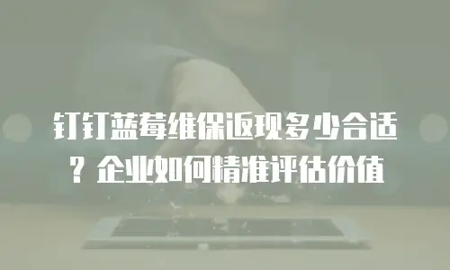 钉钉蓝莓维保返现多少合适？企业如何精准评估价值