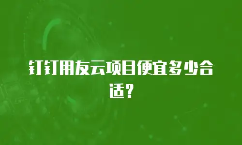钉钉用友云项目便宜多少合适？