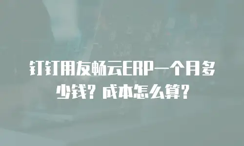 钉钉用友畅云ERP一个月多少钱？成本怎么算？
