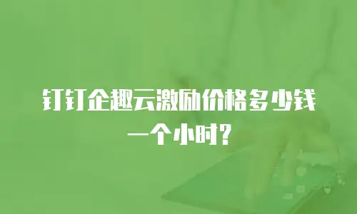 钉钉企趣云激励价格多少钱一个小时？