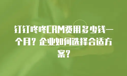 钉钉咚咚CRM费用多少钱一个月？企业如何选择合适方案？