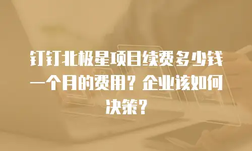 钉钉北极星项目续费多少钱一个月的费用？企业该如何决策？