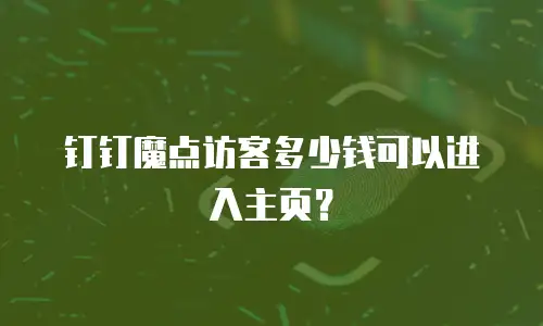 钉钉魔点访客多少钱可以进入主页？