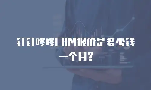 钉钉咚咚CRM报价是多少钱一个月？