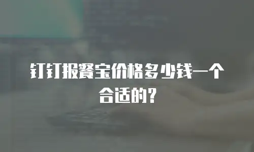 钉钉报餐宝价格多少钱一个合适的？