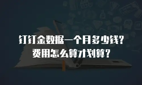 钉钉金数据一个月多少钱？费用怎么算才划算？