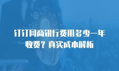 钉钉网商银行费用多少一年收费？真实成本解析