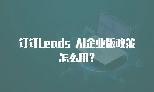 钉钉Leads AI企业版政策怎么用？