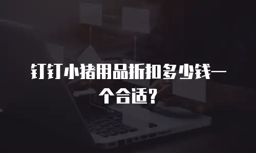 钉钉小猪用品折扣多少钱一个合适？