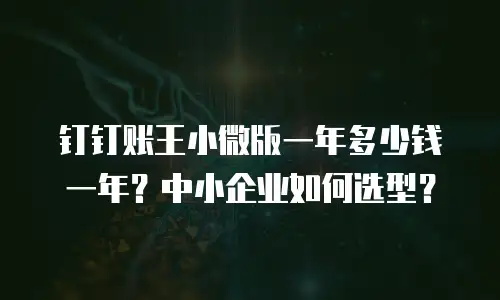 钉钉账王小微版一年多少钱一年？中小企业如何选型？