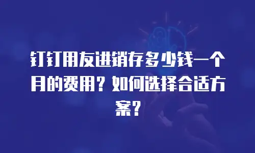 钉钉用友进销存多少钱一个月的费用？如何选择合适方案？