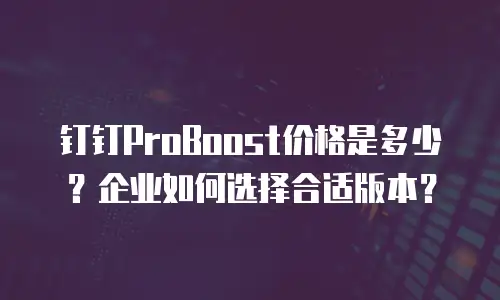 钉钉ProBoost价格是多少？企业如何选择合适版本？