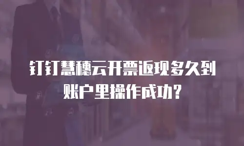 钉钉慧穗云开票返现多久到账户里操作成功？