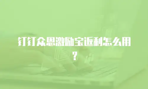 钉钉众恩激励宝返利怎么用？