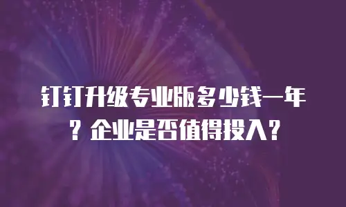 钉钉升级专业版多少钱一年？企业是否值得投入？