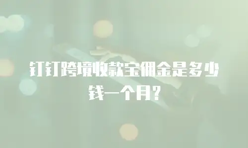 钉钉跨境收款宝佣金是多少钱一个月？