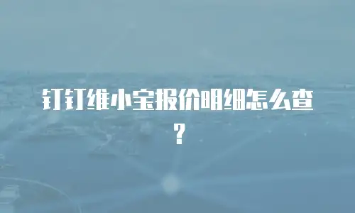 钉钉维小宝报价明细怎么查？
