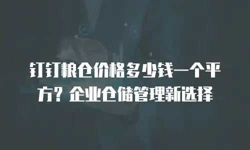 钉钉粮仓价格多少钱一个平方？企业仓储管理新选择