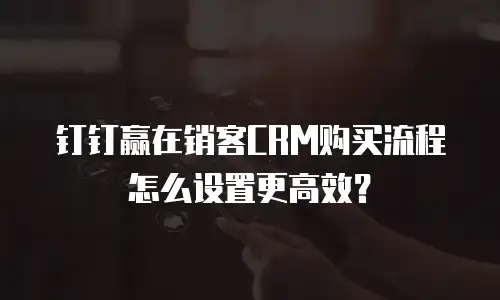 钉钉赢在销客CRM购买流程怎么设置更高效？