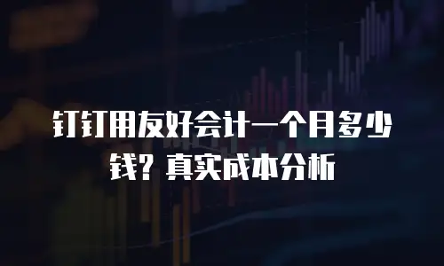 钉钉用友好会计一个月多少钱？真实成本分析