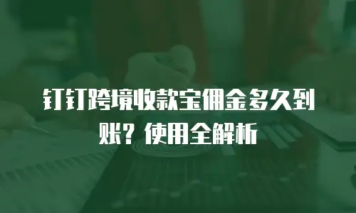 钉钉跨境收款宝佣金多久到账？使用全解析
