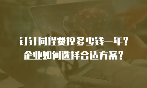 钉钉同程费控多少钱一年？企业如何选择合适方案？