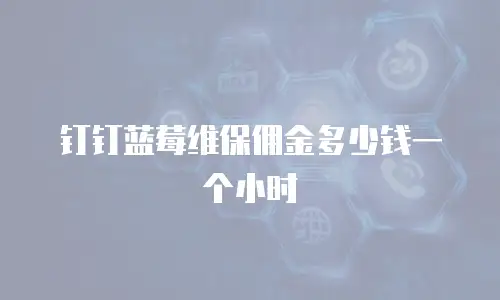 钉钉蓝莓维保佣金多少钱一个小时