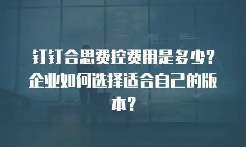 钉钉合思费控费用是多少？企业如何选择适合自己的版本？