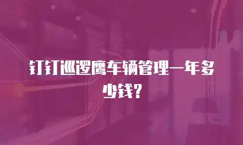 钉钉巡逻鹰车辆管理一年多少钱？